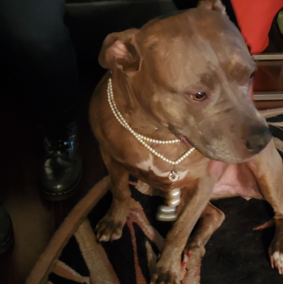 Meet your Posher, Gloria - Picture 5 of 8